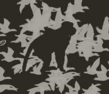Pushgallery Guerilla Logo